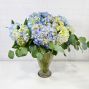 Skyline Hydrangea